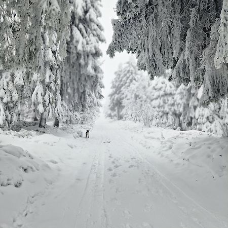 Chata Jeleni Drevenice S Vlastni Virivkou Horni Halze 외부 사진