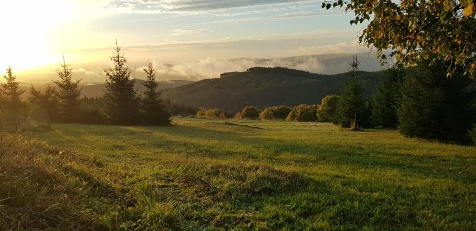 Chata Jeleni Drevenice S Vlastni Virivkou Horni Halze 외부 사진